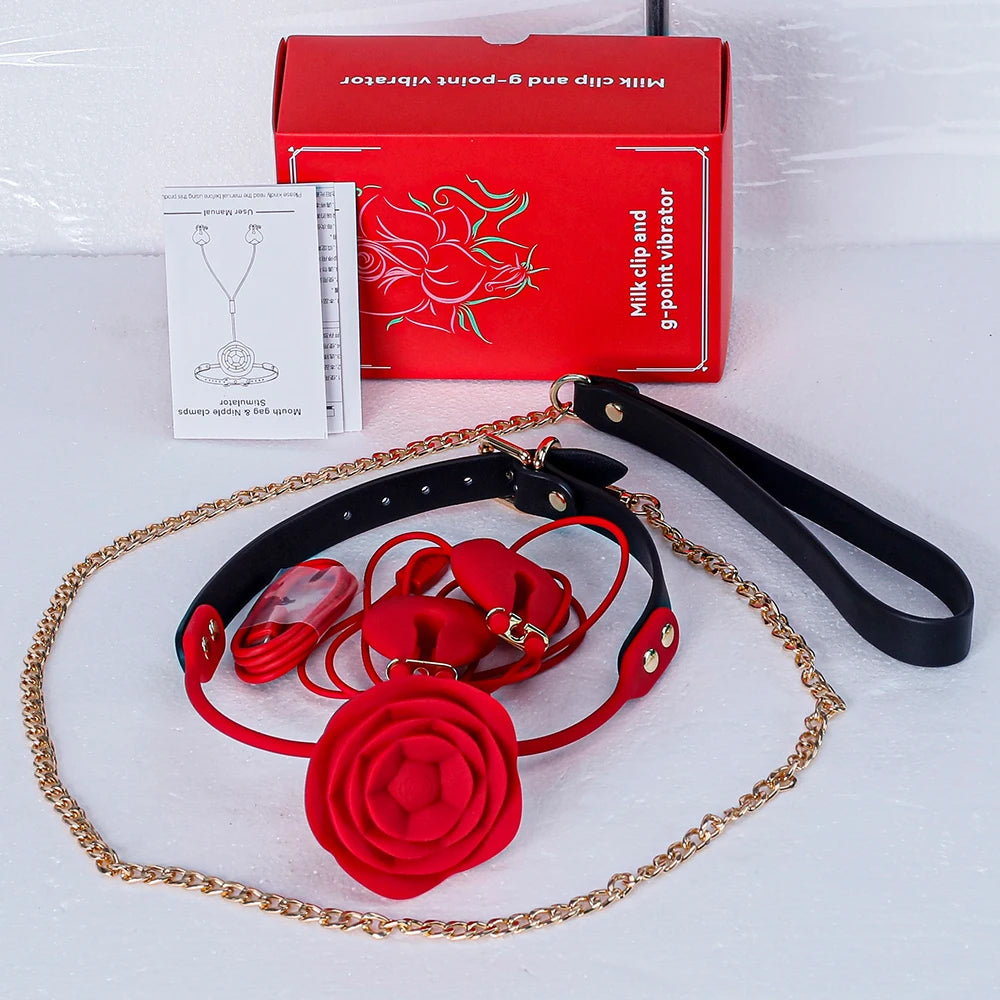 FairyKiss BDSM Starter Kit – Ball Gag, Collar & Leash, Nipple Clamps & Vibrator