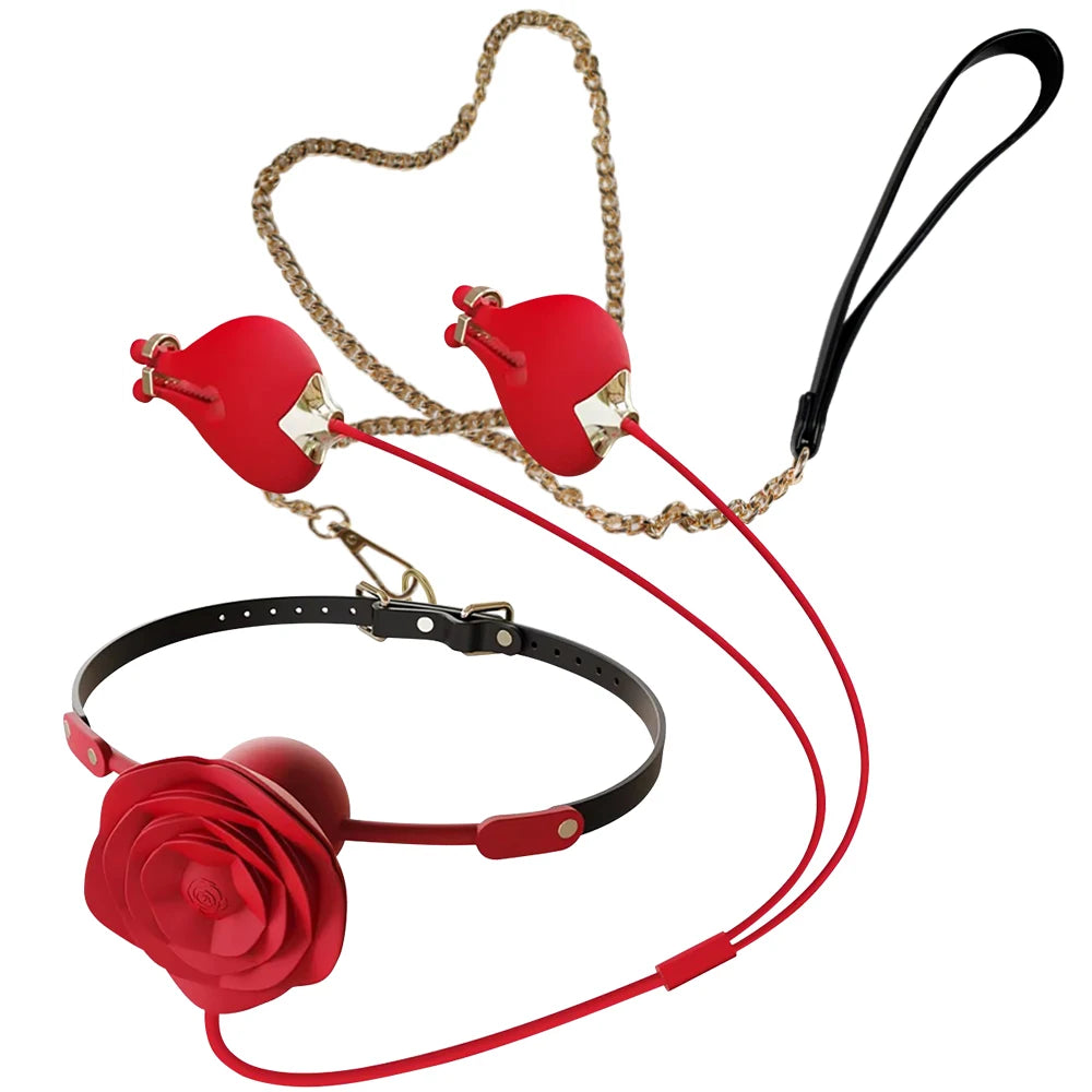 FairyKiss BDSM Starter Kit – Ball Gag, Collar & Leash, Nipple Clamps & Vibrator